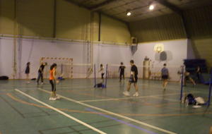 FORMATION ANIMATEUR DE BADMINTON