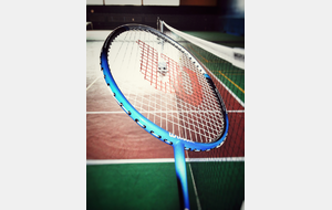 CRENEAUX DE VILLEDOMER