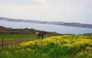 Paysage près du gîte