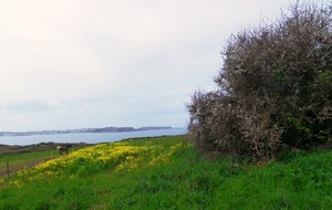 Paysage près du gîte