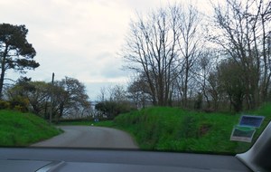 51781257837fe_SDC17868.JPG