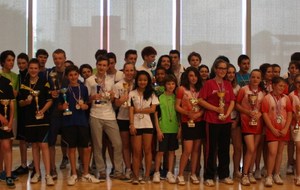 51be15d86ecc0_RECOMPENSESTDJ2013.jpg