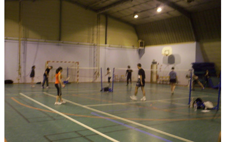FORMATION ANIMATEUR DE BADMINTON