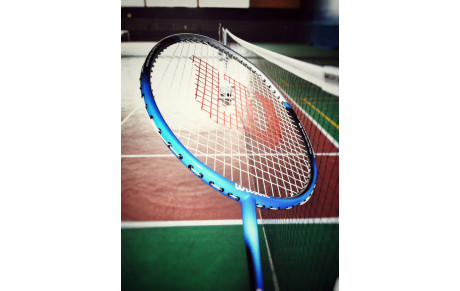 CRENEAUX DE VILLEDOMER